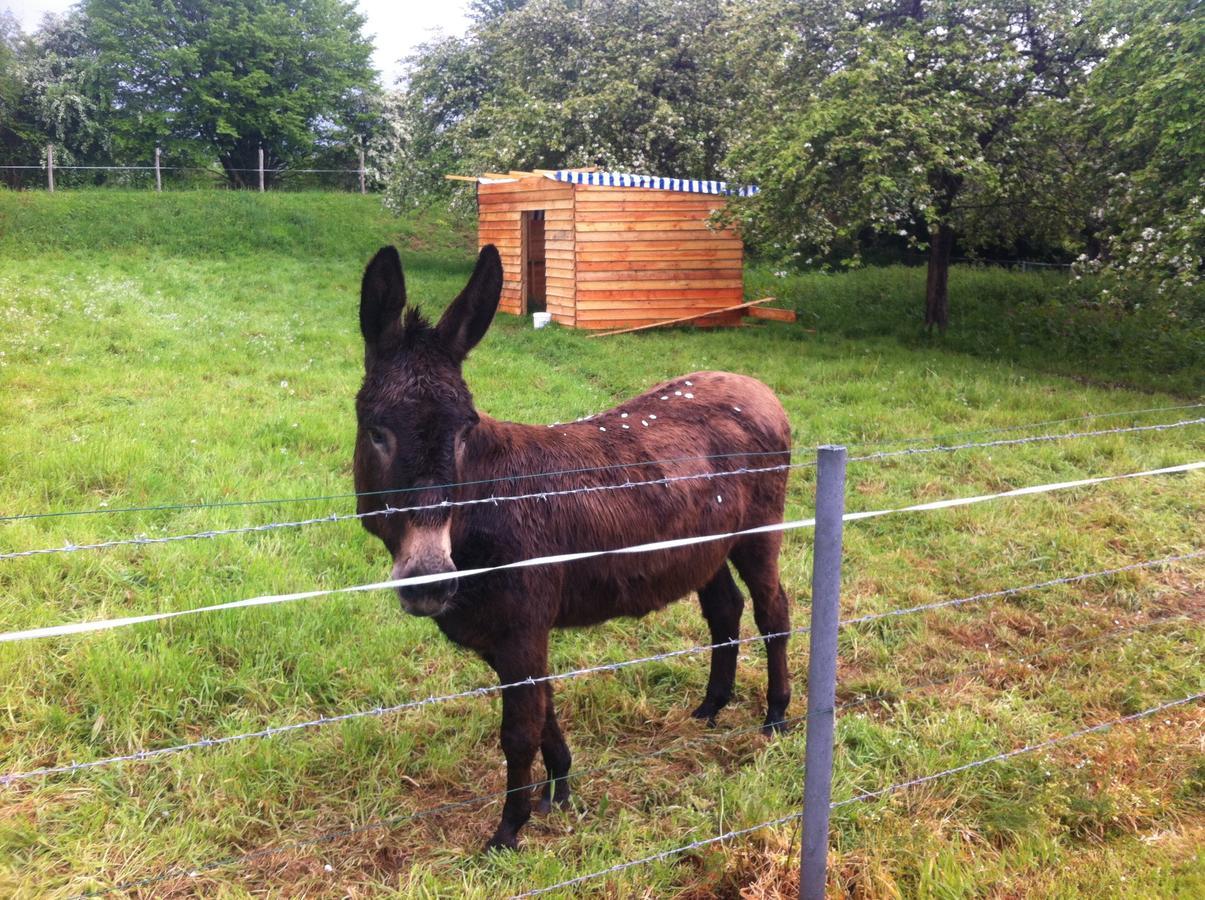 La Ferme De Montaigu Bed & Breakfast Eksteriør bilde